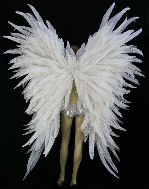 feather fairy wings